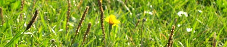 Bauernmuseum Sitzendorf